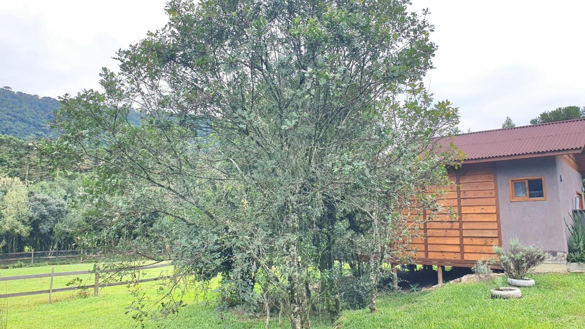 Vale Da Imbuia Chale Temporada Holiday home Urubici